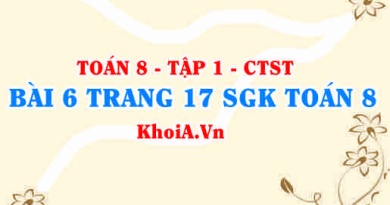 Bài 6 trang 17 SGK Toán 8 Tập 1 Chân trời sáng tạo